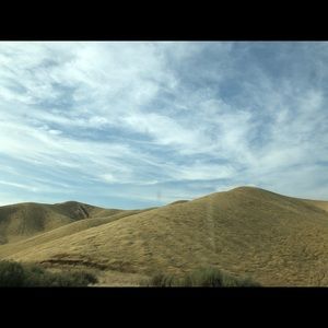 Meet your Posher, Priyanka